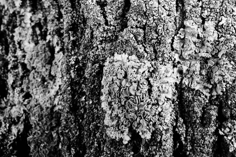 Für Lehrkräfte & Schulen