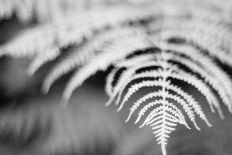 Für Agile Professionals & Führungskräfte